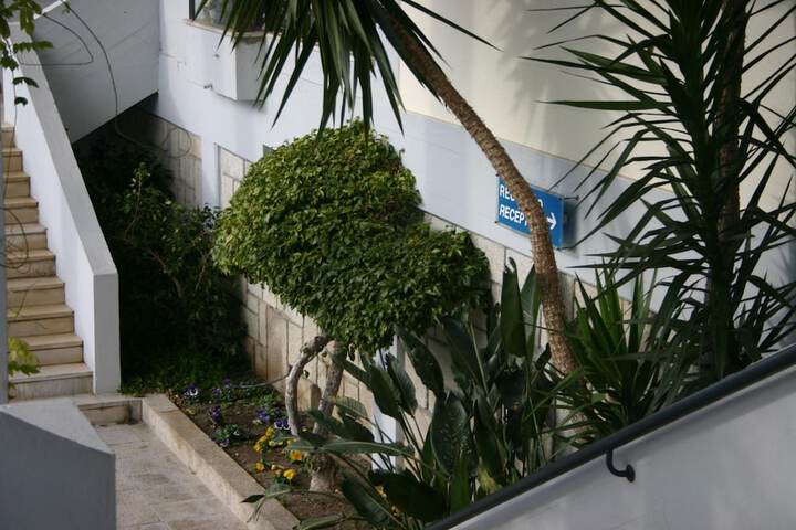 Property Grounds 32 of 39