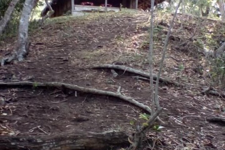 Property Grounds 16 of 30