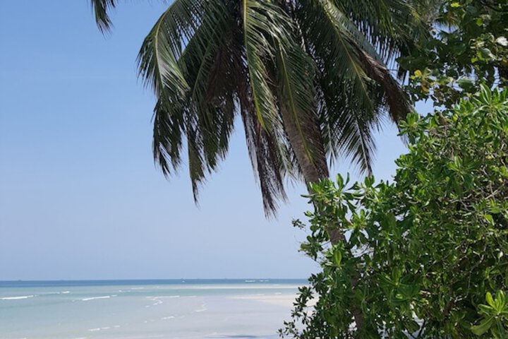 Beach 99 of 113
