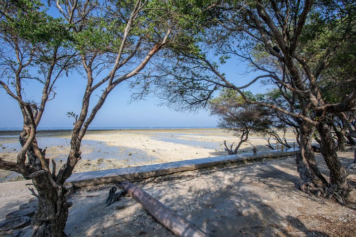 Beach 62 of 74