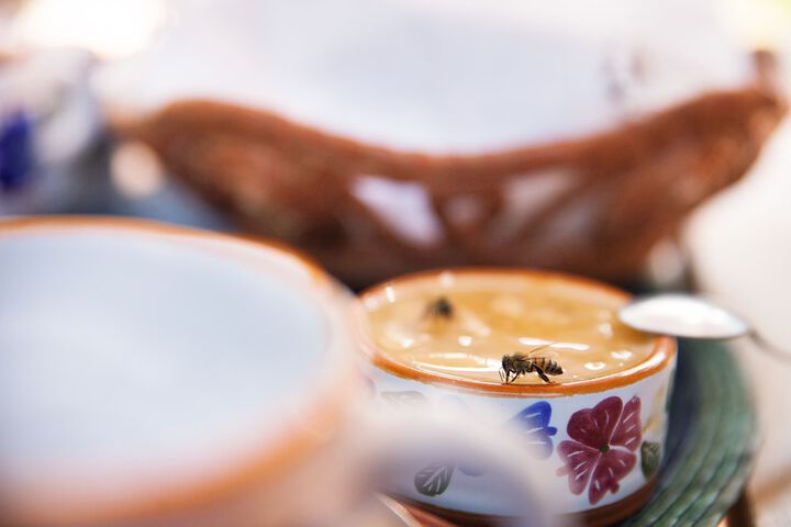 Breakfast/Coffee Service 25 of 36