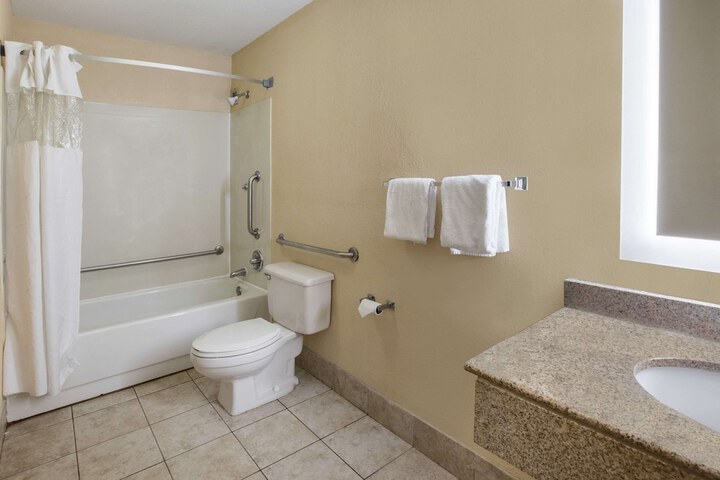 1 King Bed Accessible Room Bathtub with Grab Bars (11 of 13)