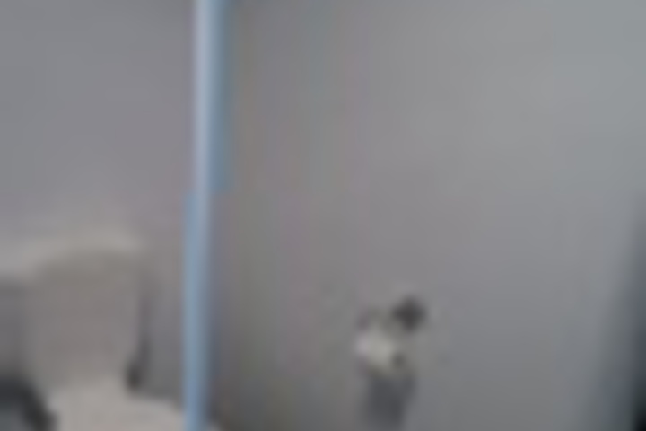Room 339 of 384
