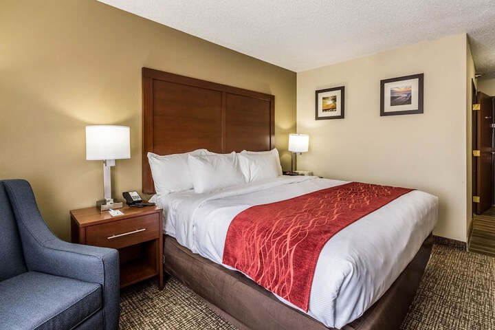 Standard King Bed Accessible (2 of 17)