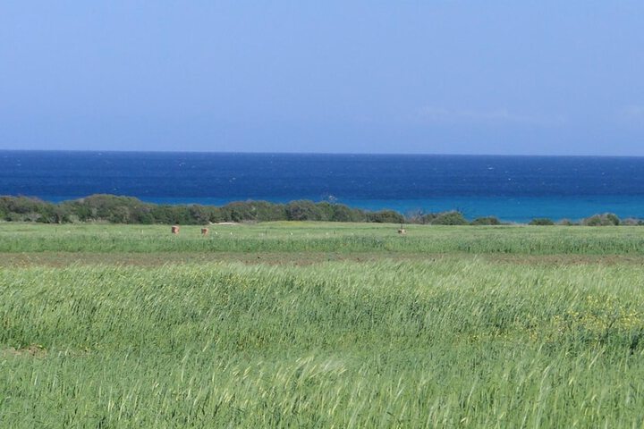 Beach 53 of 63
