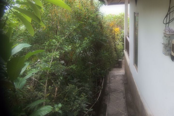 Room 6 of 111