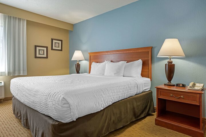 1 King Bed (44 of 50)