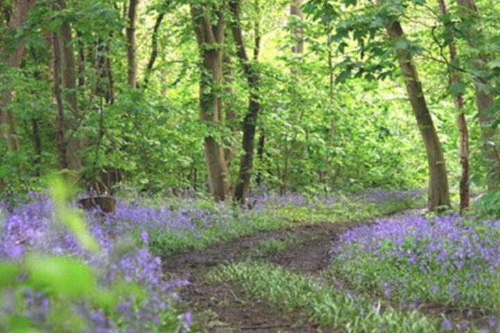 General 4 of 24