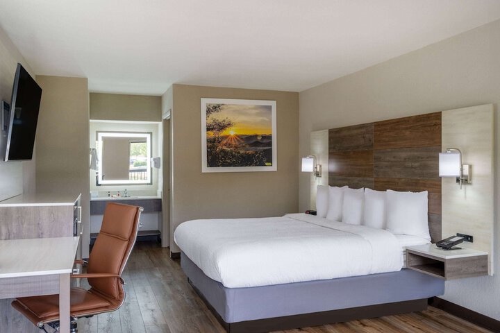 1 King Bed (8 of 12)