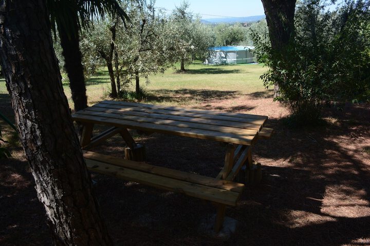 Property Grounds 54 of 63