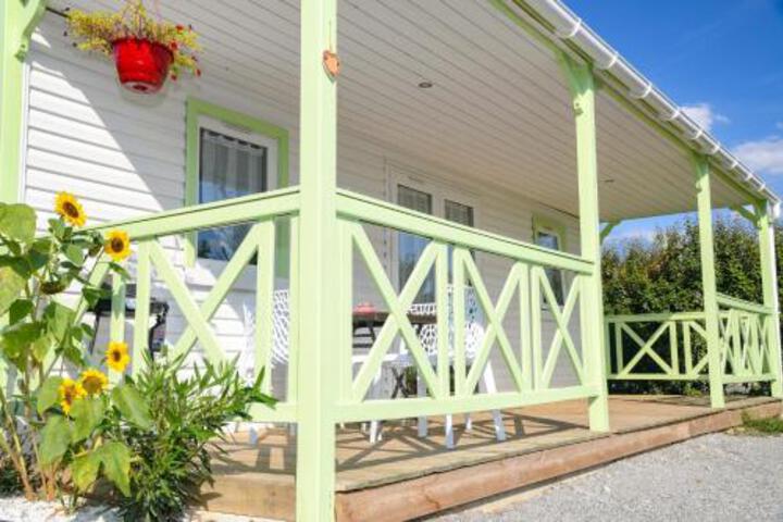 General 82 of 101