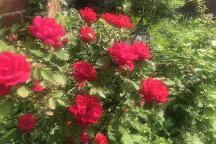 Hotel Exterior 44 of 52