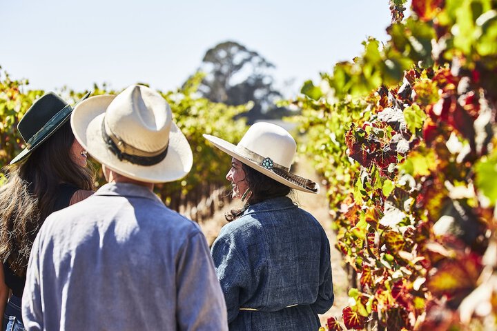 Vineyard