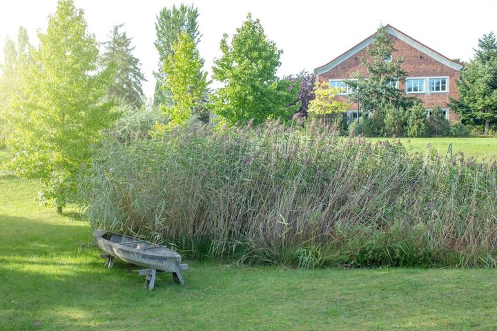 Property Grounds 40 of 50