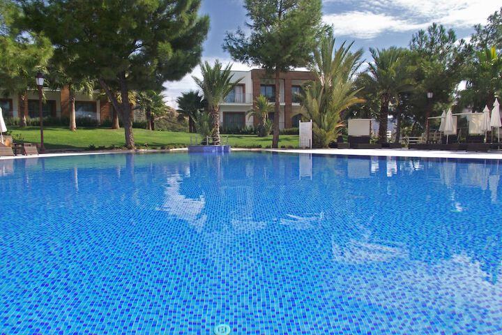 Pool 36 of 79