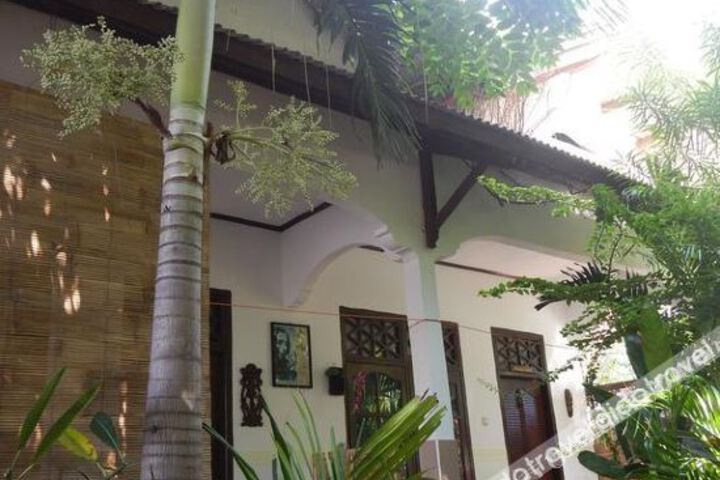 Gili Orchid