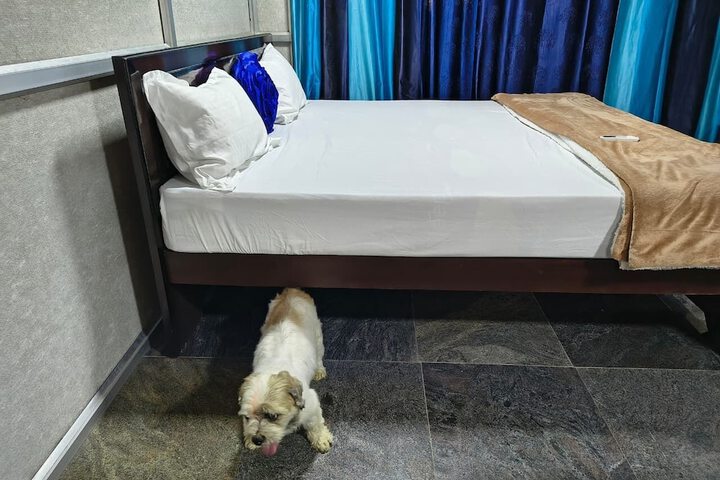 Room 12 of 55