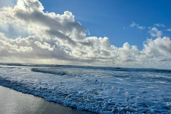 Beach 137 of 150