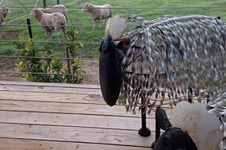 Property Grounds 10 of 13