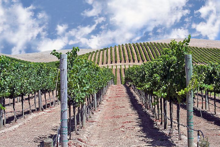 Winery
