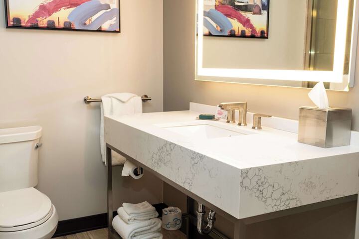 1 King Mobility Hearing Accessible Roll in Shower (3 of 8)