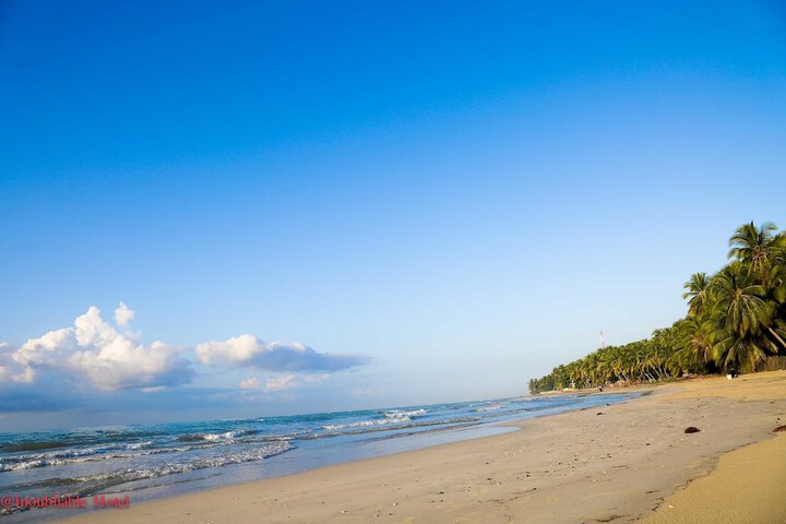 Beach 54 of 78