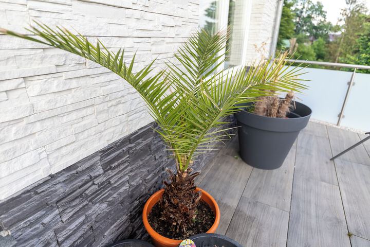 Terrace/Patio 63 of 67