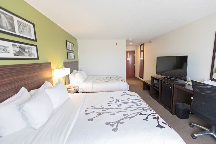 2 Queen Beds (8 of 17)