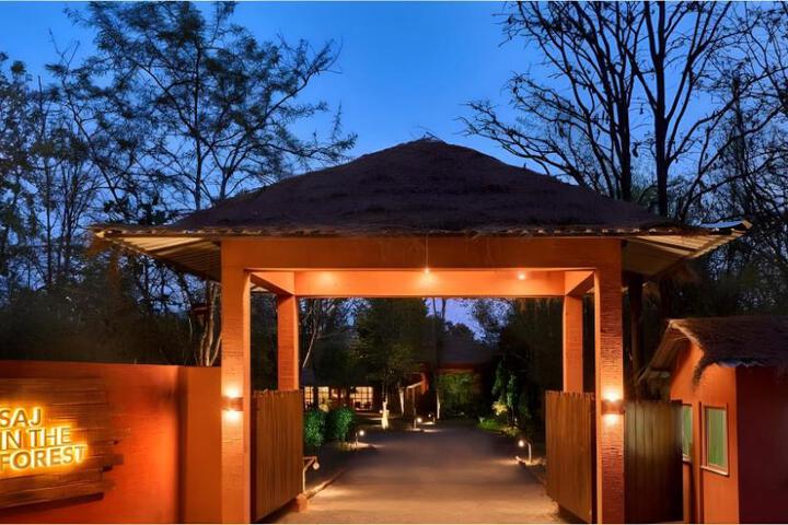 Saj in The Forest Pench