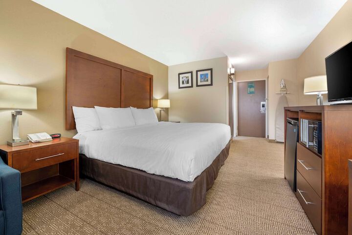Standard King Bed Accessible (13 of 18)