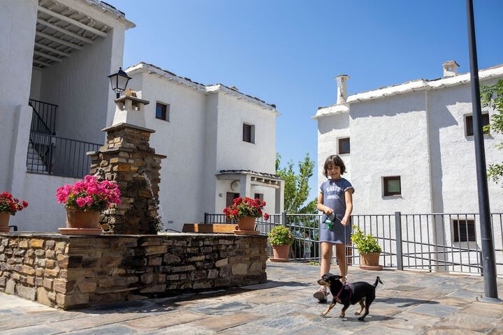 Pet-friendly