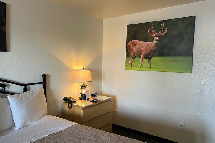 Room 9 of 80