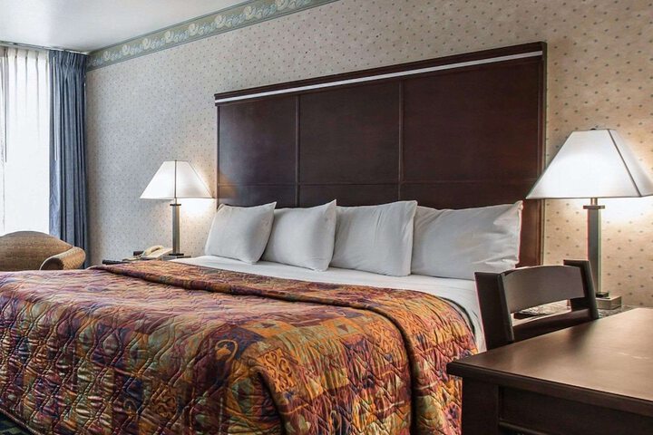 Deluxe King Bed (2 of 7)