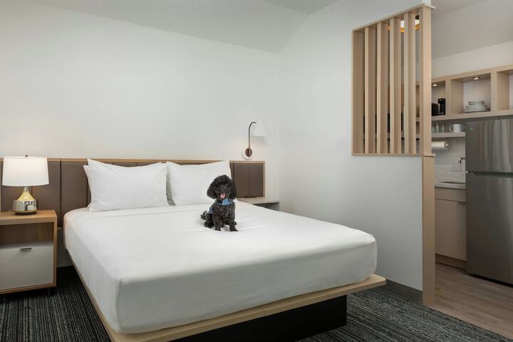 Pet-friendly