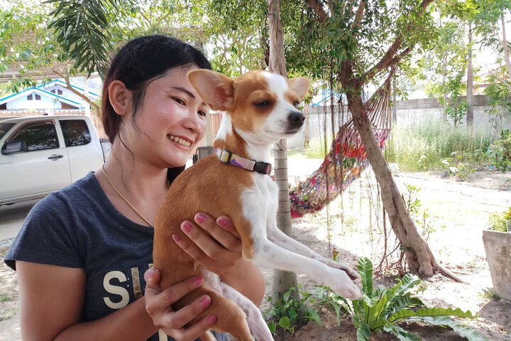 Pet Friendly 43 of 61