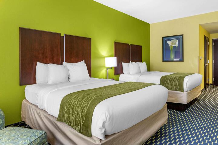 2 Queen Beds (1 of 10)