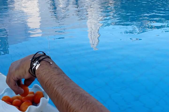 Pool 72 of 94