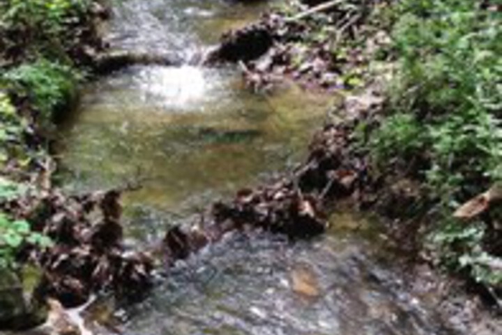 Property Grounds 30 of 37