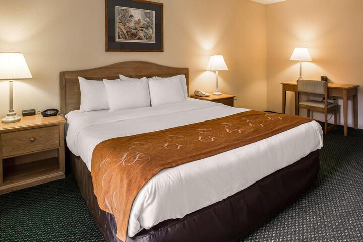 1 King Bed (3 of 11)
