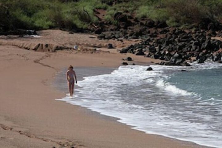 Photo 4