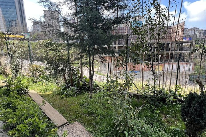 Terrace/Patio 7 of 11