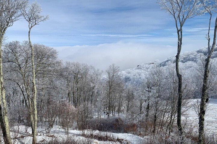 Property Grounds 13 of 15