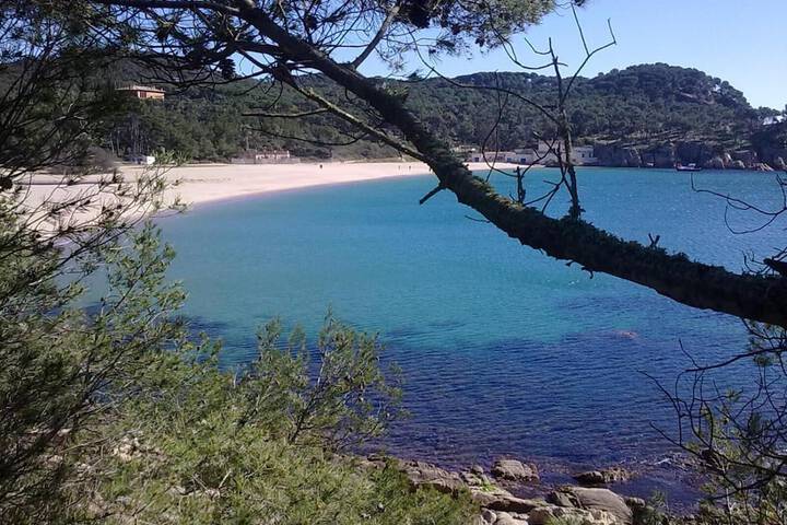 Beach 57 of 65