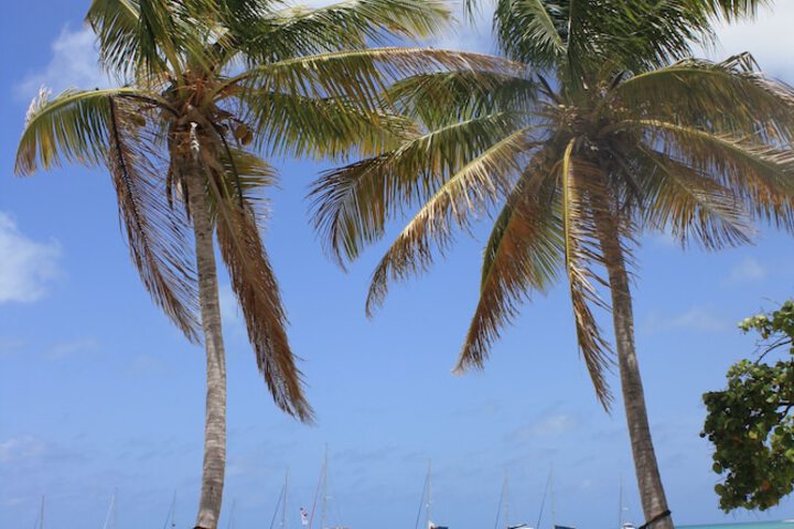 Beach 24 of 29