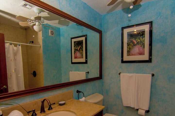 Room 501 of 599
