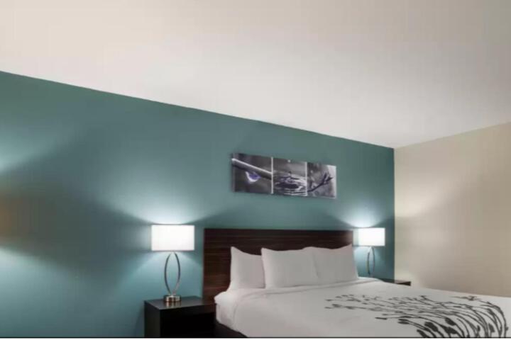 1 King Bed (12 of 18)