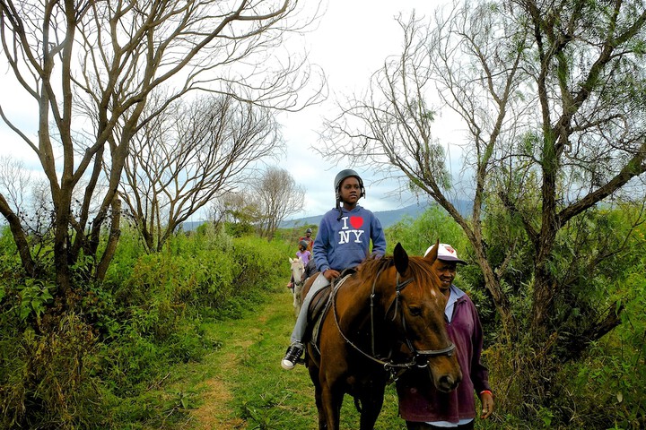 Horseback riding