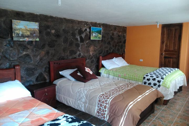 Room 3 of 173