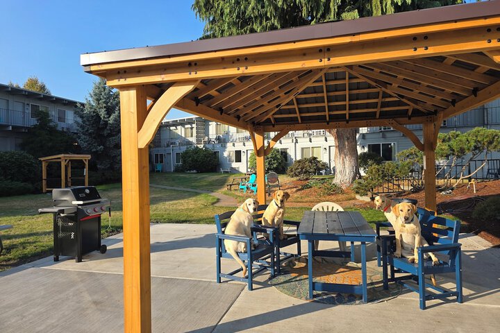 Pet Friendly 108 of 145