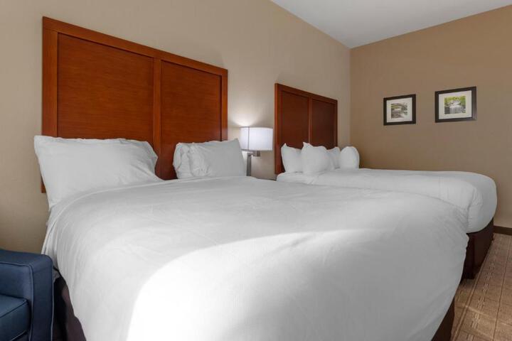 2 Queen Beds (1 of 14)